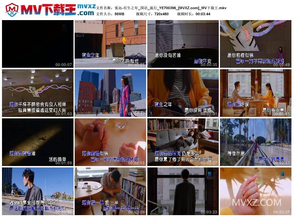张远-有生之年_国语_流行_YE700396